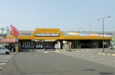 270074561