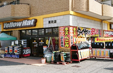 307209747